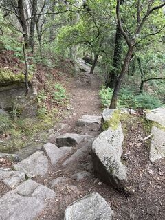 Fotografia z Helmut Schellmann na trase