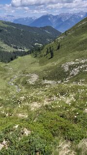 Photo de Cilli Waldhof le long du parcours