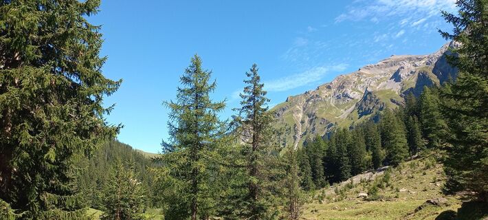 Foto fra mosi mönä undervejs på turen