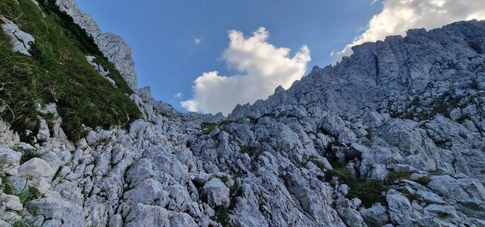 Foto van Catana viorel langs de tour