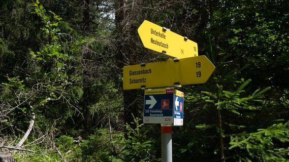 Wegweiser Triendlweg-Bauernwald