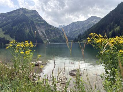 Foto de Schenka a lo largo del recorrido