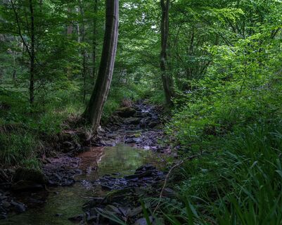 Steinbachtal