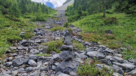 Photo de Gerrit van der Linde le long du parcours