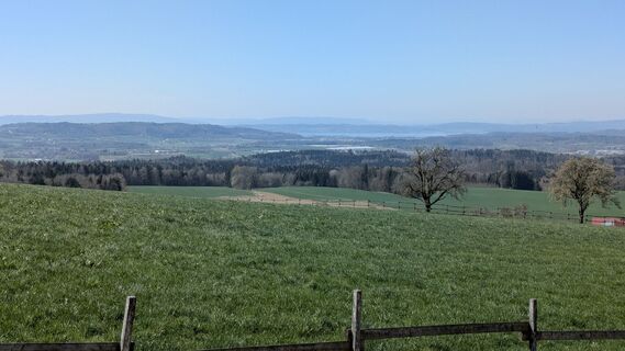 Foto de Thomas Köhler 2 a lo largo del recorrido