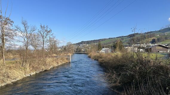 Zdjęcie z Christina Pelican wzdłuż trasy