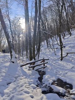 Foto de Katona Ferk Mariann a lo largo del recorrido