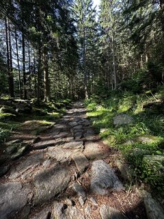 Fotografia z Iwona Domagalska na trase