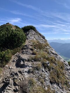 Fotografija s spletne strani Elisabeth Wiesmayr na poti