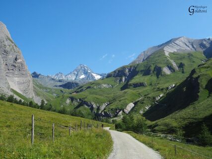 Alpen Tag 24-2