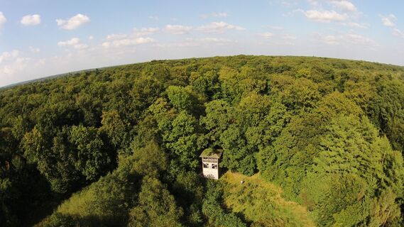 Ganderkesee_Hasbruch_Aussichtsturm_1.JPG