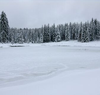 Ebertsteich im Winter