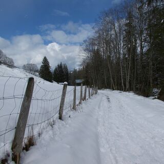 vor Tromooserli - Winterwanderung-Gypsera-Eispaläste-Weg