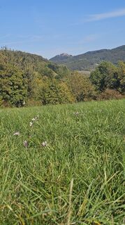 Fotografija s spletne strani Boba Weishaar na poti