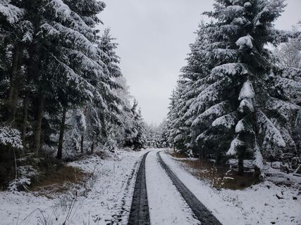Foto de Manfred Schierhuber a lo largo del recorrido