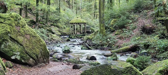 Fotografie z Werner Golsner na trase