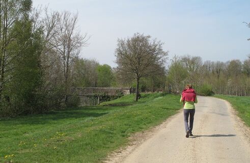 Le-Festel_pont_traverseduponthieu©SommeTourisme-MTestu