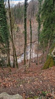 Foto von Romana Schönbauer entlang der Tour
