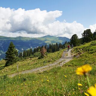 Arosa Lenzerheide Rundtour