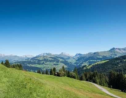 Blick vom Heuberg in Richtung Rätikon