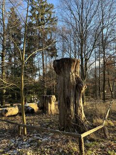 Fotografie z Andreas na trase