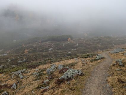 Foto von Leif entlang der Tour