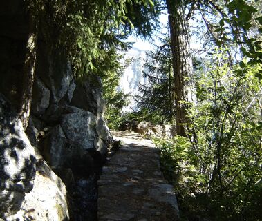 Wanderweg entlang der Suone, oder auch Bisse genannt (historischer Bewässerungskanal)