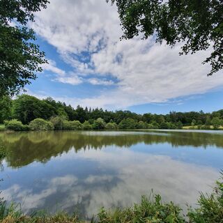 2020_etangedesmoines_GBallot