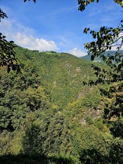 Fotografija s spletne strani Michael Weiss2 na poti