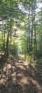 Foto von Markus Ortner entlang der Tour