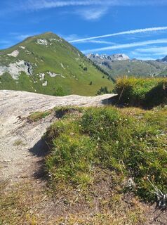 Photo de Irmi♧ le long du parcours