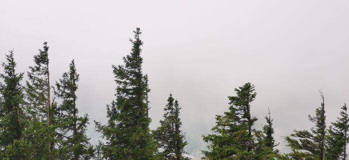 Foto von Klaus Lehner entlang der Tour