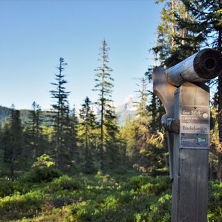 Aussichtspunkt in Richtung Bischofsmütze