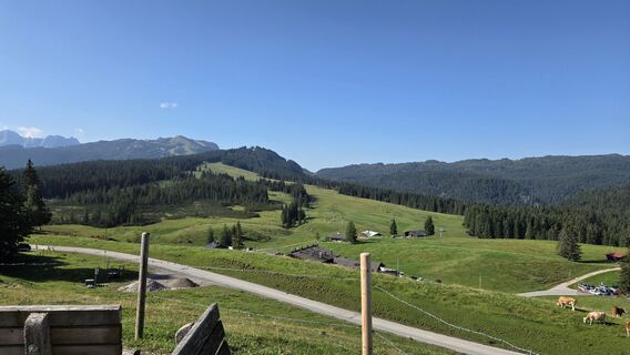 Foto von Gabriele Wagener entlang der Tour