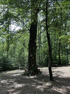 Foto von Stefan Zohmann entlang der Tour