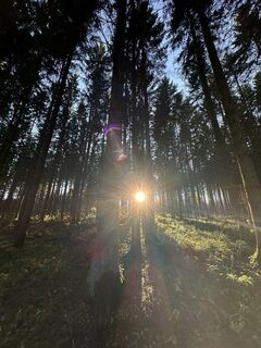 Foto von Babs Holz entlang der Tour