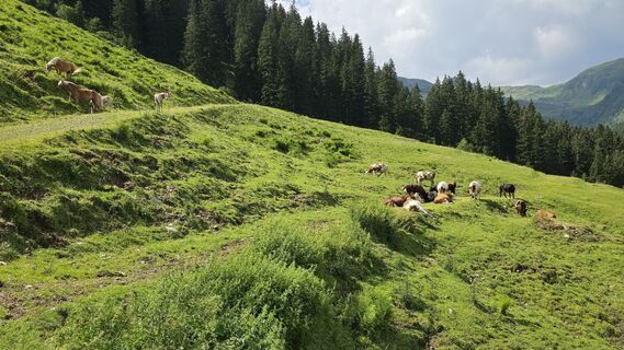 Photo de Gerrit van der Linde le long du parcours