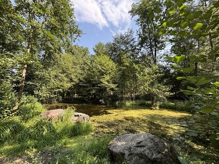 Fotografija s spletne strani Pascal Oliver Hauser na poti