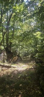 Foto von Darija Forgač entlang der Tour