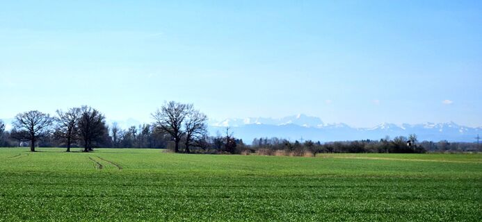 Fotografia z garrincha na trase