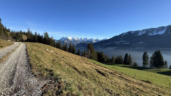 Fotó a peter_oe honlapról a túra során