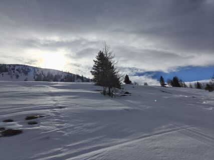 Photo de rotbaeder le long du parcours