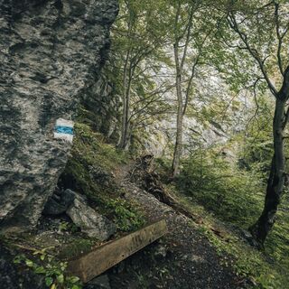 Trail- Route: Gonzenleiter Palfries