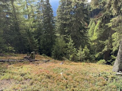 Foto von Joemeier entlang der Tour