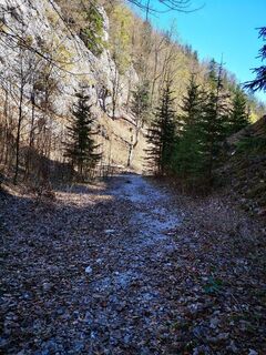 Photo de ChasquiRunner le long du parcours