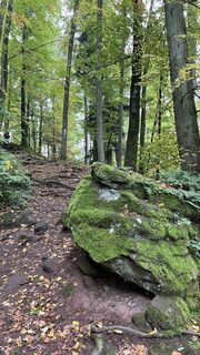 Foto de Siggi unterwegs a lo largo del recorrido