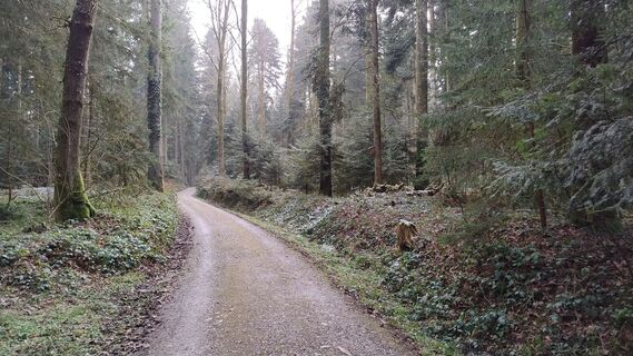 Foto von lkusmir entlang der Tour