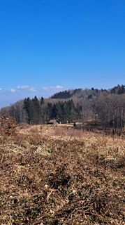 Photo de Anita Lunzer 1 le long du parcours