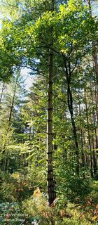 Foto von Stanisław Czajka entlang der Tour