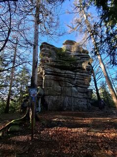 Fotografija s spletne strani Wollomator na poti